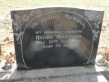 image of grave number 892008
